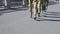 View of running male and female feet in military uniform on asphalt. Woman on heels. Sunny day