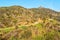 View of the Runyon Canyon Trail in California