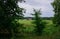 View of the rural estate in the field. Landscape in Latvia