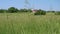 View of rural house in countryside near wheat fields and green lawns.