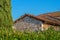 View of a rural house with a red tile roof. Pigeons are sitting on the roof. There are trees and bushes around. Sunny