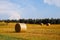 View of a rural italian Landscape with hay rolls under blue sky