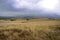 View on rural landscape of Hawaii stock images