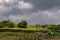 View on rural landscape of Hawaii stock images