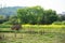 View of rural scenery of riverside plain in spring