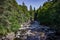 View of a rushing stream, forest and small cottage in Invermoriston