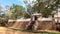 View of the sacred Sri Maha Bodhi tree. Anuradhapura, Sri Lanka