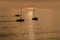 View on the sailboats in the ocean on the sunset in the golden light, close to the beach of Morro Jable on the Canary Island