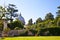 View at Saint Peter church from Vatican garden in Rome