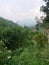 View Salak Mountain Bogor