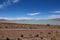 View of the Salar de Chalviri near Termas de Polques hot springs, Bolivia. Landscape of the Andean highlands of Bolivia