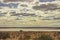 The view of salt lake in Australian dessert at Mount Connor Lookout on Lesseter Highway in Northern Territory, Australia.