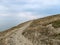 View of sand dune, poor plants, dark blue sky