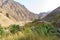 View of sand mountains gorge desert valley, green nature oasis landscape in Africa in summer