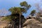 View of sandstone pillars. Zittauer Gebirge mountains nature park. Saxony. Germany