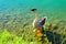 View from Santarelli lakes with a goose walking on some rocks in the aquamarine lake with fresh greenery