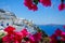 View of Santorini and the  Bush bougainvillea