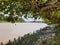 View on the Saramacca river in Groningen, Surinam. With view on almond trees