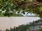 View on the Saramacca river in Groningen, Surinam. With view on almond trees