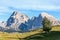 View of Sassolungo and Sassopiatto mountains  in Seiser Alm high plateau