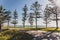 View of Scarborough beach, one of the most popular beaches near Perth shot in a sunny summer day in Western Australia