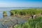 View of the Scardovari lagoon, Po river delta, Adriatic sea, It