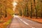 View of a scenic road and trees in a forest leading to a secluded area during autumn. Woodland surrounding an empty