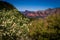 View from Schnebly Hill Road in Sedona, Arizona