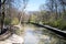 View of Schwabinger Bach at the Englischer Garten in Munich