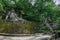 View of sculpture amidst the vegetation in the Park of Bomarzo.