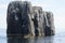 View of sea cliffs with seabirds nesting