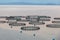 View of sea fish farm cages and fishing nets, farming dorado, sea bream and sea bass, process of feeding the fish a forage, with