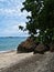 The view of the sea with green leaves, sand gravel and large rocks and sky