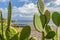 View of sea at Salina, Sicily