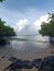 view of sea water at low tide in the mangrove forest on the coast of Baluran Situbondo, East Java