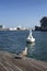 View of a seagull and sculpture on sea