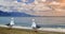 View seagulls on the beach in winter