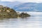 A view of seals basking on an islet in the Firth of Lorn near to Oban, Scotland