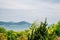 View of Seascape from Jasan Park in Yeosu, Korea