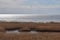 View of the seaside meadows, which is the largest massif of such meadows in Latvia