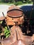 View from the seat of Antique Ford Motor Crawler, Sayward, BC