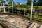 View of seedling beds of various plants used for reforestation