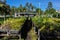 View of seedling beds of various plants used for reforestation