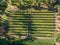 View of seedling beds of various plants used for reforestation