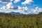 View of the Sempre VIva Park at Mucuge in Chapada Diamantina, Bahia, Brazil