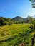 A view of Sertao do Ribeirao, in the south of Florianopolis, Brazil