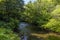 A view of a shady section of the River Wye from the Monsal Trail in Derbyshire, UK