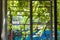 View of shady vineyard through home window