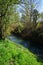 View of the shallow Wuhle River on a sunny spring day. Berlin, Germany