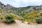 View of shaped rocks at Demerdzhi Mountain